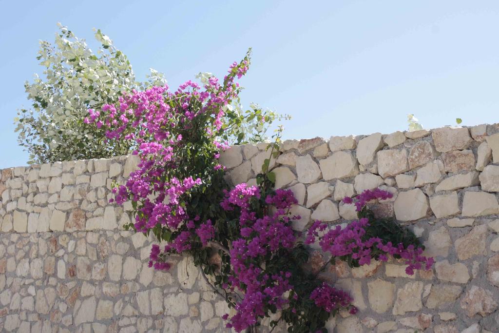 Вилла Crete View Марати Номер фото